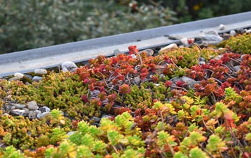 the cost of Willhayne green roof installation