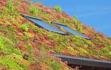 Willhayne living roof systems
